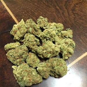 Apollo 13 Cannabis Strain - A Balanced Hybrid with Sweet and Earthy Flavors for Uplifting Effects