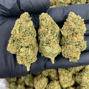 Banana Kush Cannabis Strain - A Fruity Indica Hybrid with Sweet Banana Flavors for Relaxing Bliss