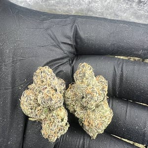 Banana Split Cannabis Strain - Sweet and Relaxing Hybrid for a Blissful Escape