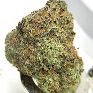 Blackwater Cannabis Strain - A Deeply Relaxing Indica Hybrid with Earthy Undertones