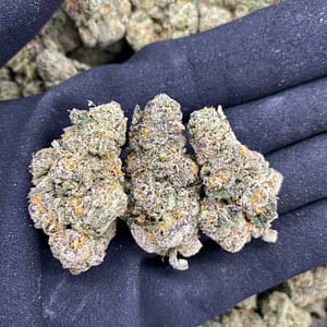 Blue Cheese Cannabis Strain - A Unique Indica-Dominant Hybrid with a Blend of Blueberry and Cheese Flavors