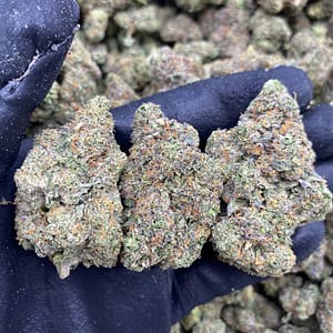 Blueberry Diesel Cannabis Strain - Energizing Hybrid with Sweet Blueberry Undertone