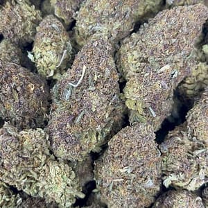 Blueberry Headband Cannabis Strain - Hybrid Bliss with Blueberry Aroma and Relaxing Effects