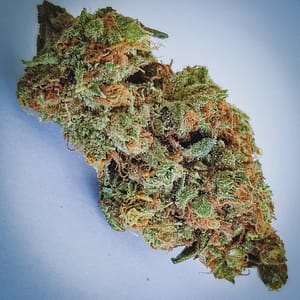 Bruce Banner Cannabis Strain - Unleash the Power of this Potent Hybrid with Hulk-Like Strength