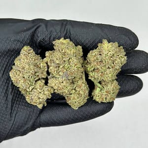 Candyland Cannabis Strain - A Sweet Sativa Blend for Uplifting Bliss and Relaxation