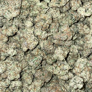 Critical Kush Cannabis Strain - Potent Indica Hybrid with Earthy Undertones for Deep Relaxation