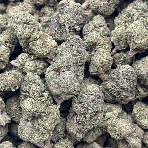 Jet Fuel Cannabis Strain - Sativa Dominant Hybrid for an Energetic Lift with Diesel Aromas