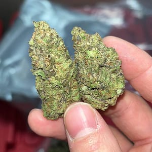 OGiesel Cannabis Strain - Classic OG Kush and Sour Diesel Blend for a Potent Hybrid Experience