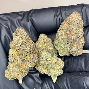 Purple Star Cannabis Strain - A Vibrant Indica Hybrid with Sweet Grape Undertones for Relaxing Bliss