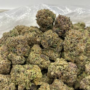 Sour Kush Cannabis Strain - A Pungent Hybrid Blend with Sour Citrus Aromas and Kush Undertones