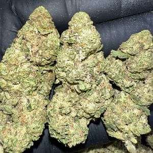 Space Queen Cannabis Strain - A Galactic Sativa-Dominant Hybrid with Fruity Flavors and Uplifting Effects