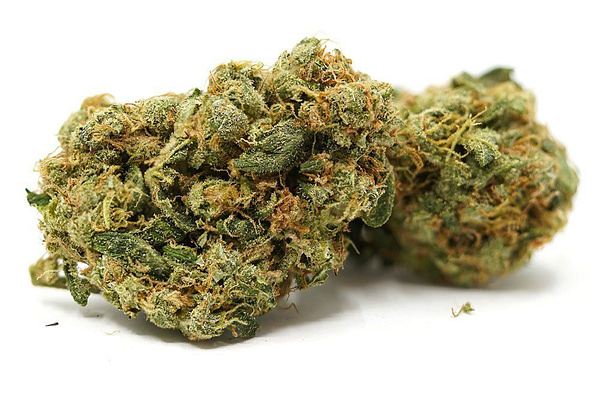 Acapulco Gold Cannabis Strain - Legendary Sativa with Golden Hues and Uplifting Effects