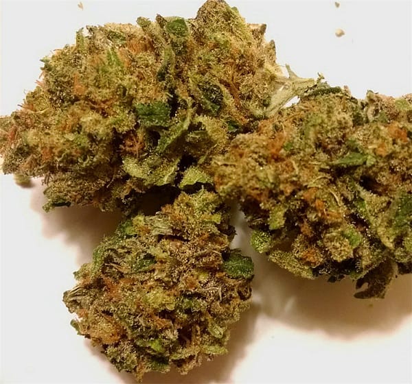 Black Magic Cannabis Strain - A Powerful Indica with Dark, Earthy Flavors and Relaxing Effects
