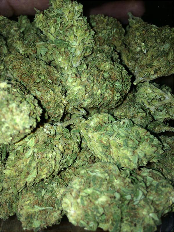 African Cannabis Strain - Pure Sativa with Exotic Flavors and Energizing Effects