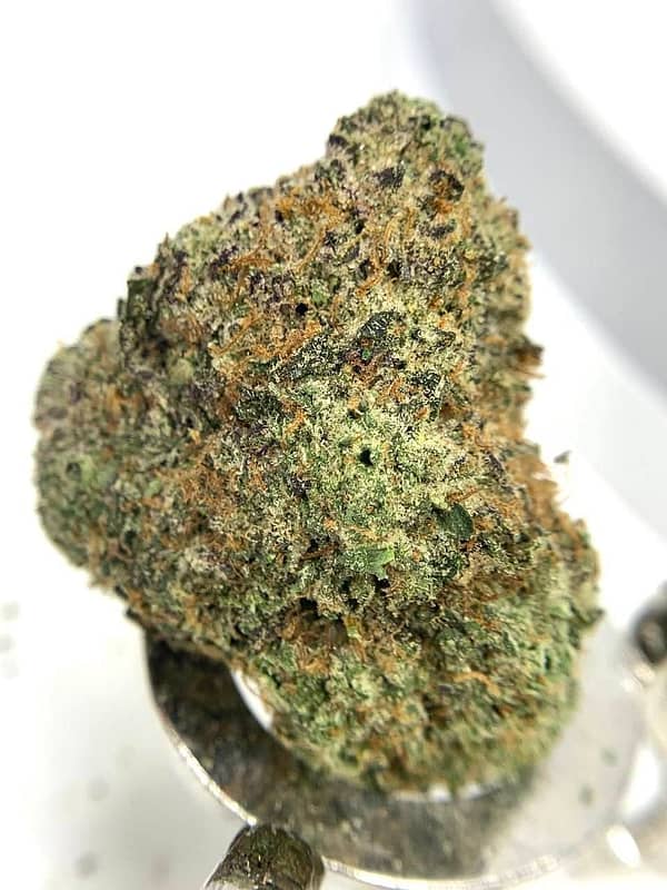 Blackwater Cannabis Strain - A Deeply Relaxing Indica Hybrid with Earthy Undertones