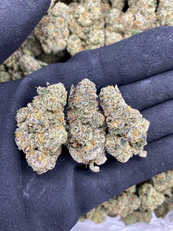 Blue Cheese Cannabis Strain - A Unique Indica-Dominant Hybrid with a Blend of Blueberry and Cheese Flavors