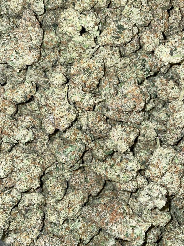 Critical Kush Cannabis Strain - Potent Indica Hybrid with Earthy Undertones for Deep Relaxation