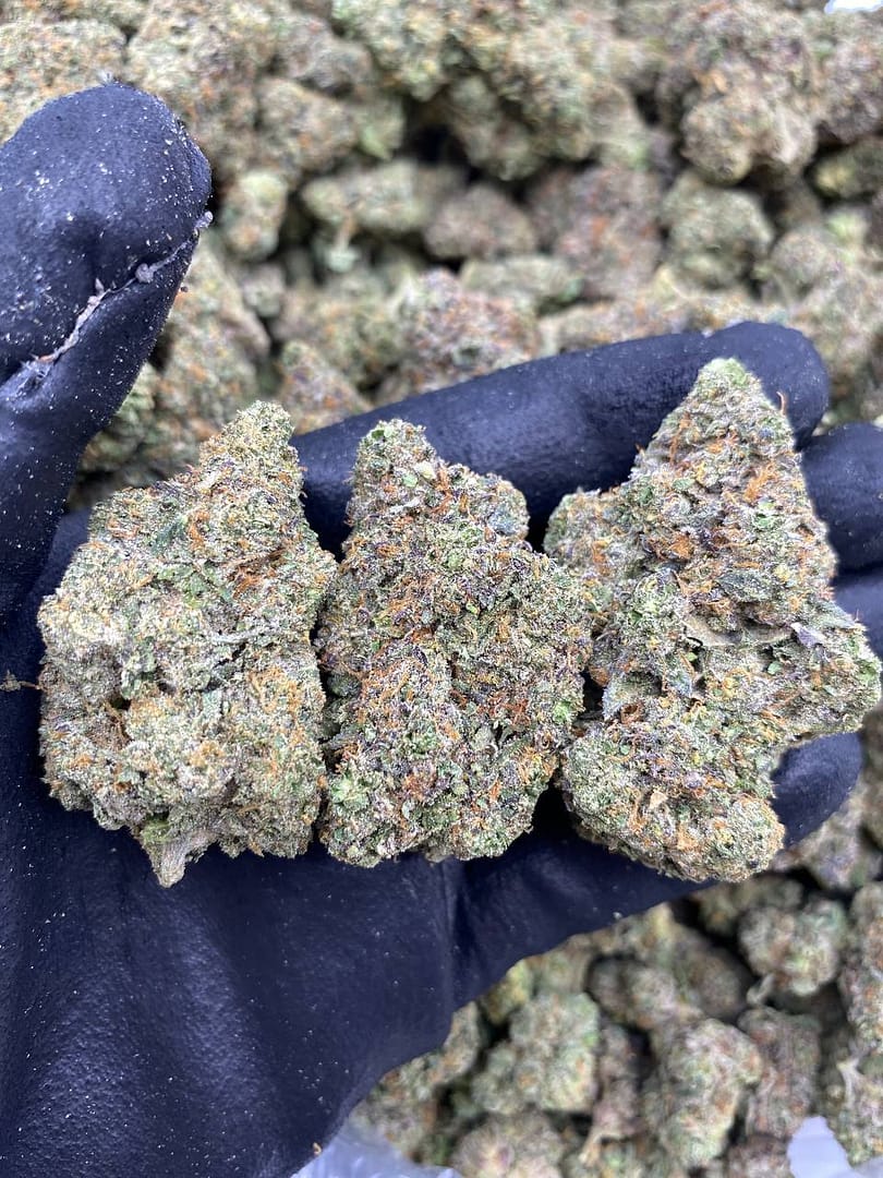 Blueberry Diesel Cannabis Strain - Energizing Hybrid with Sweet Blueberry Undertone