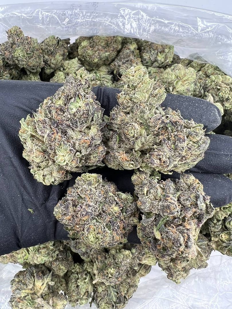 Granddaddy Purple x OG Kush Cannabis Strain - A Powerful Indica Hybrid with a Perfect Blend of Berry Sweetness and Earthy Kush Undertones