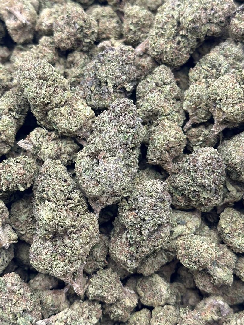 Jet Fuel Cannabis Strain - Sativa Dominant Hybrid for an Energetic Lift with Diesel Aromas