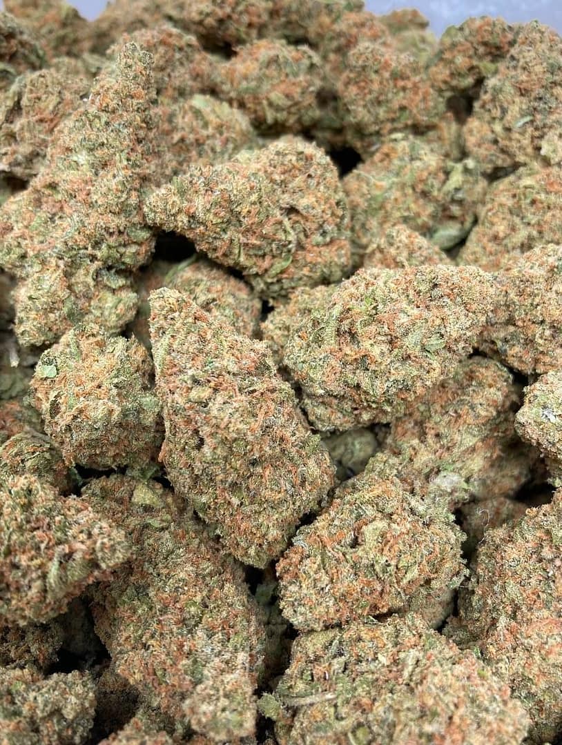 Alien OG Cannabis Strain - Potent Indica Hybrid with Otherworldly Relaxation and Citrus Undertones